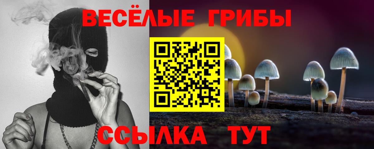 Сатка  Псилоцибиновые грибы прущие грибы  хочу наркоту  Вход с VPN 